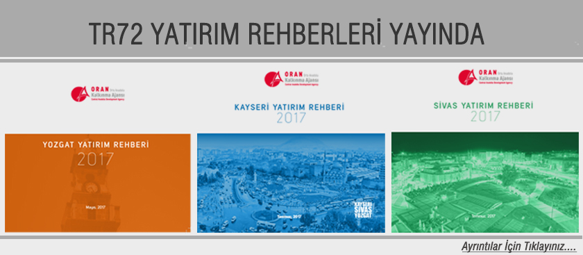 Yatırım Rehberleri