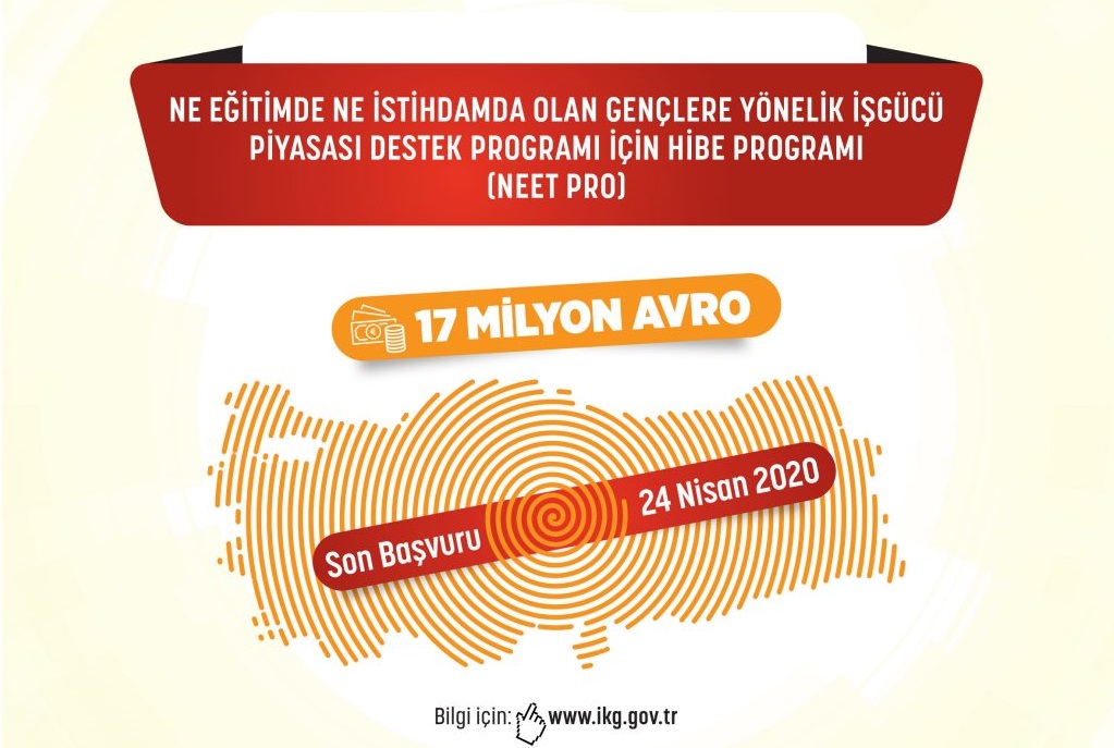 Ne Eğitimde Ne İstihdamda Olan Gençlere Yönelik İşgücü Piyasası Destek Programı için Hibe Programı (NEET PRO)