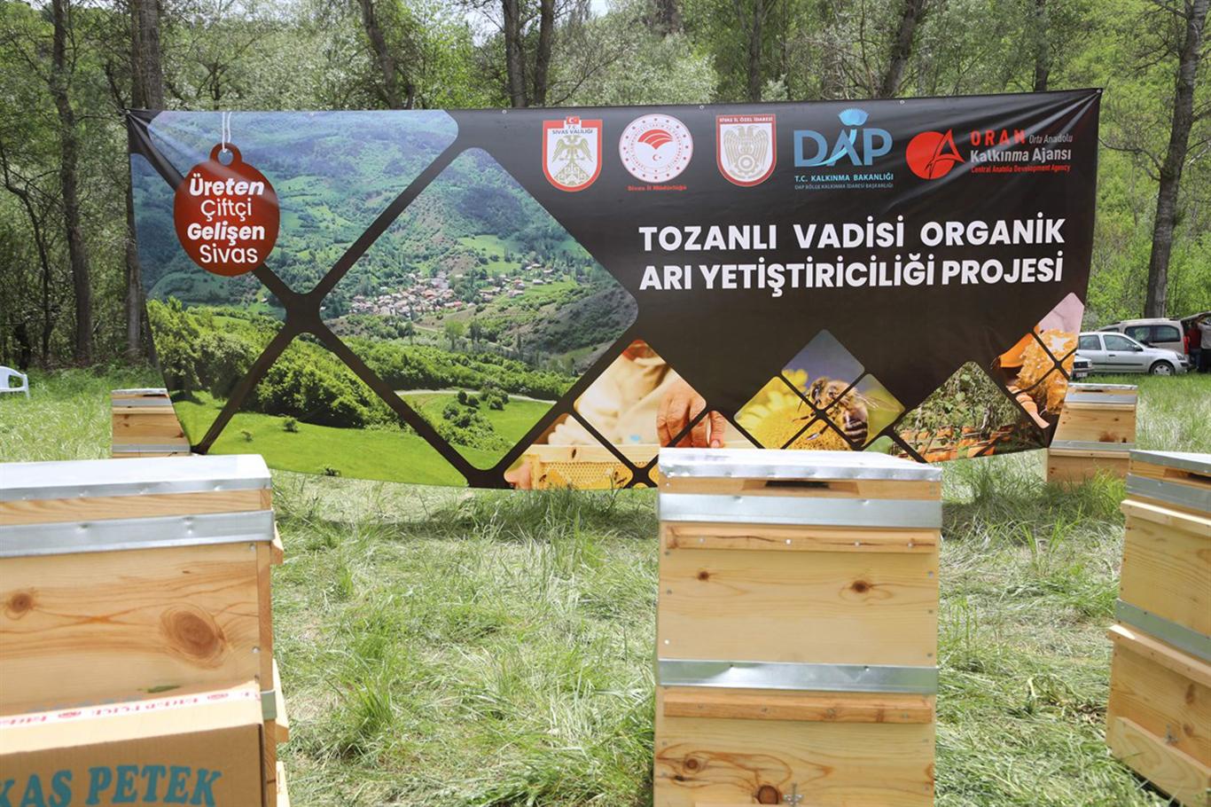 Tozanlı Vadisi Organik Bal Üretimi