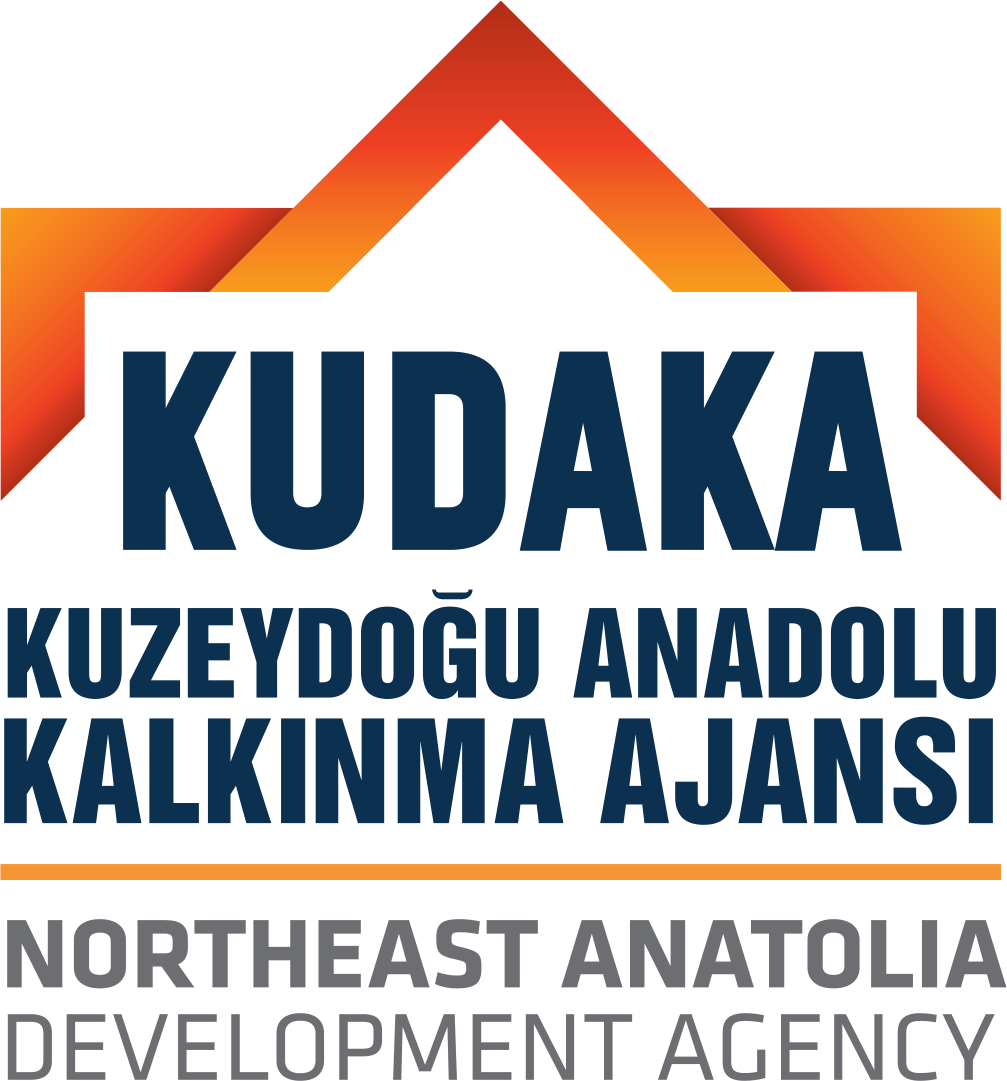 Kuzeydoğu Anadolu Kalkınma Ajansı Personel Alımı İlanı