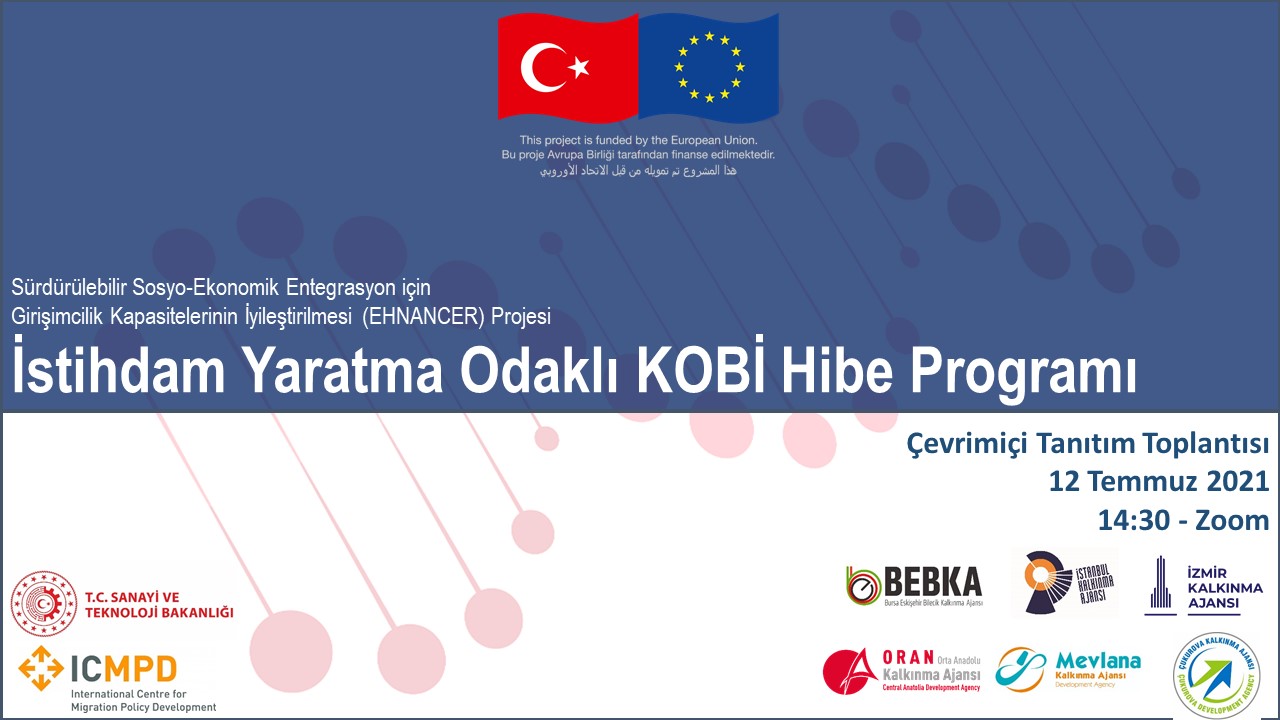 6.1 İstihdam Yaratma Odaklı KOBİ Hibe Programı