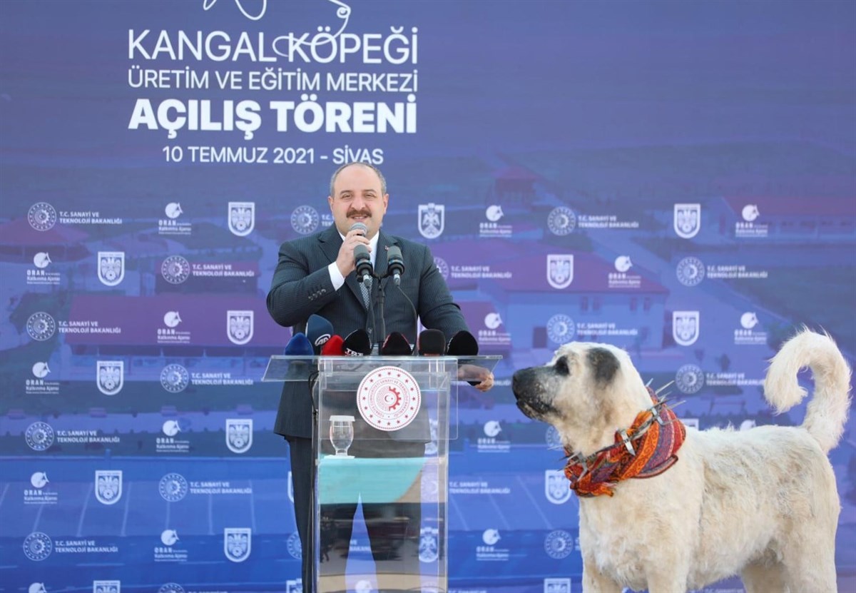 Sivas Projeleri Sanayi ve Teknoloji Bakanı Mustafa Varank’ın Katılımıyla Açıldı