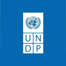 UNDP Dijital Yol Projesi-KOBİ Dijitalleşmesi Eğitimi