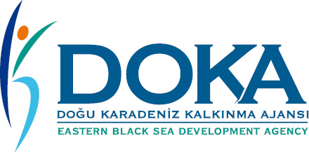 Doğu Karadeniz Kalkınma Ajansı Personel Alım İlanı 2025