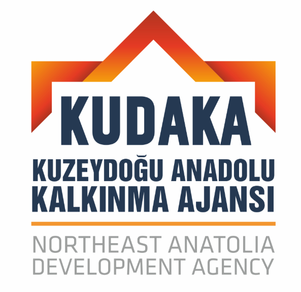 Kuzeydoğu Anadolu Kalkınma Ajansı Personel Alım İlanı