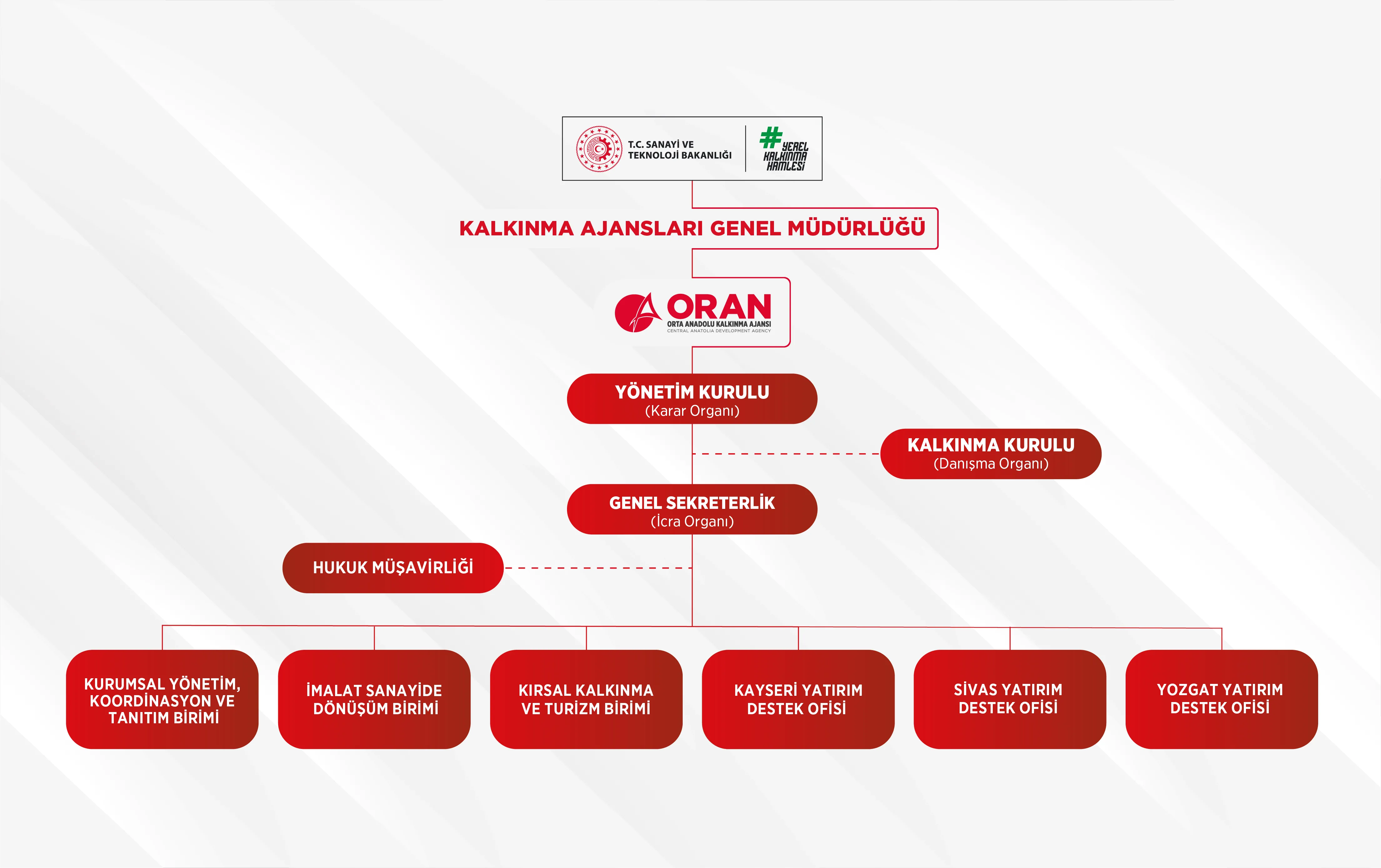 Organizasyon Yapısı